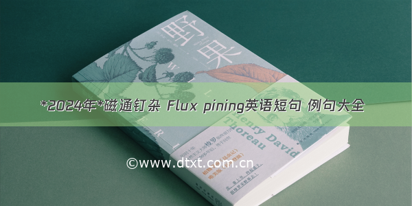 *2024年*磁通钉杂 Flux pining英语短句 例句大全