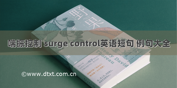 喘振控制 surge control英语短句 例句大全