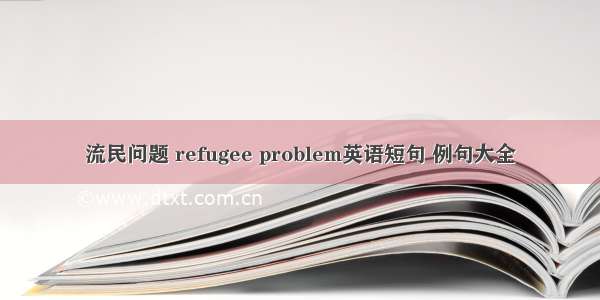 流民问题 refugee problem英语短句 例句大全