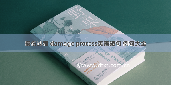 损伤过程 damage process英语短句 例句大全