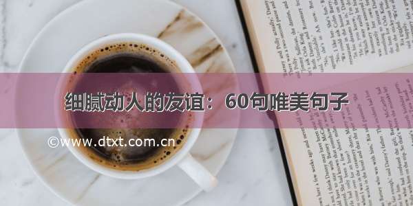 细腻动人的友谊：60句唯美句子